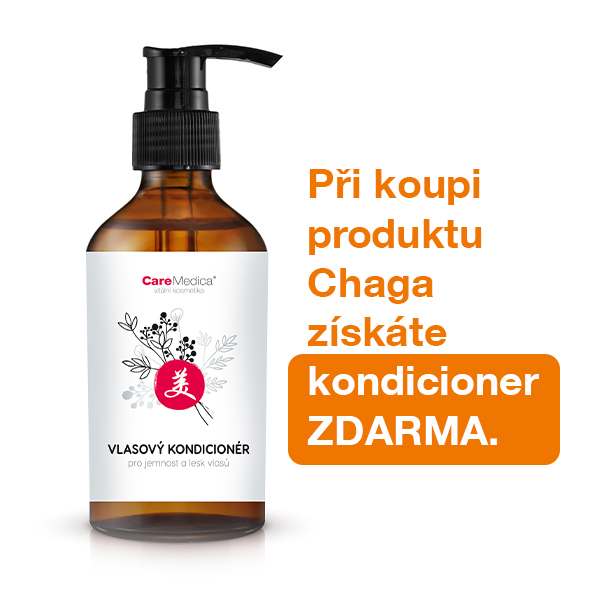 GRATIS Chaga und Haarspülung