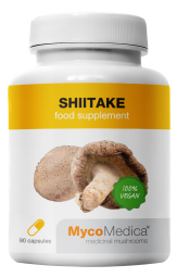 Shiitake